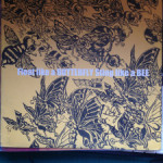 蜂と蝶の12inchを片手にイベントへ