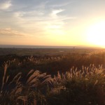 ゲーム依存症？中毒？